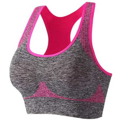 Seamless Ivy Sports Bra – Bekväm, Stilren &amp; Funktionell